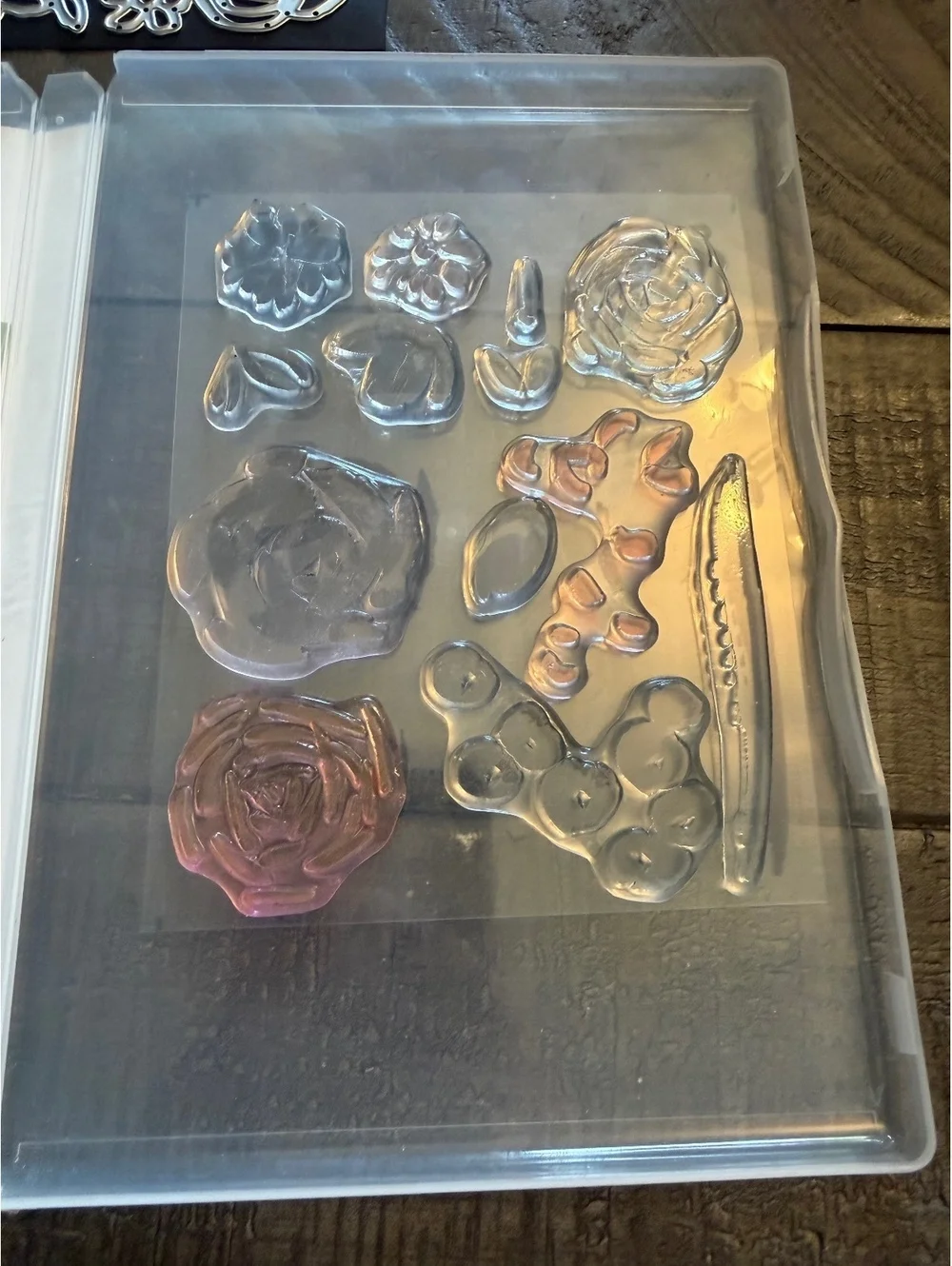 Stampin’ Up Abstract Impressions stamp set & Springtime Expressions die cut set